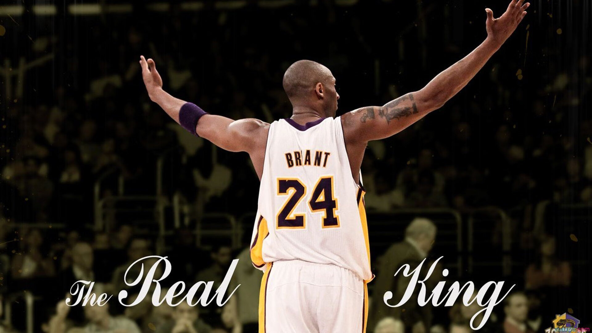 开云体育官网app-快船球迷组织创建官方播客频道，讨论球队走向，快船主场球迷